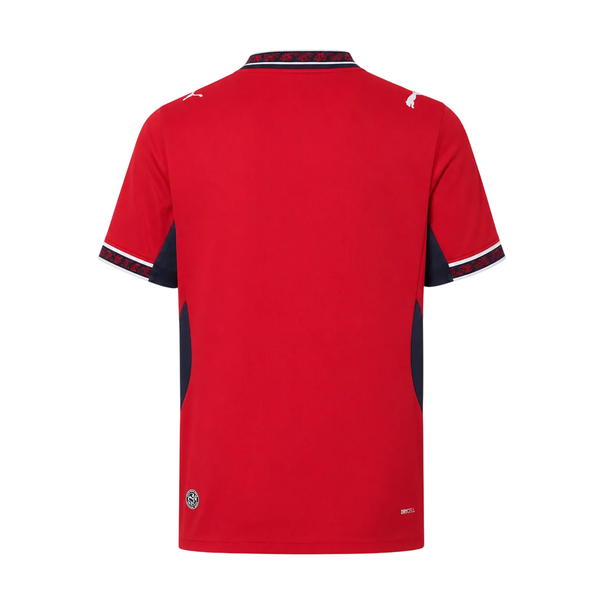 Czechia Home 2026/27 Jersey Red Men's