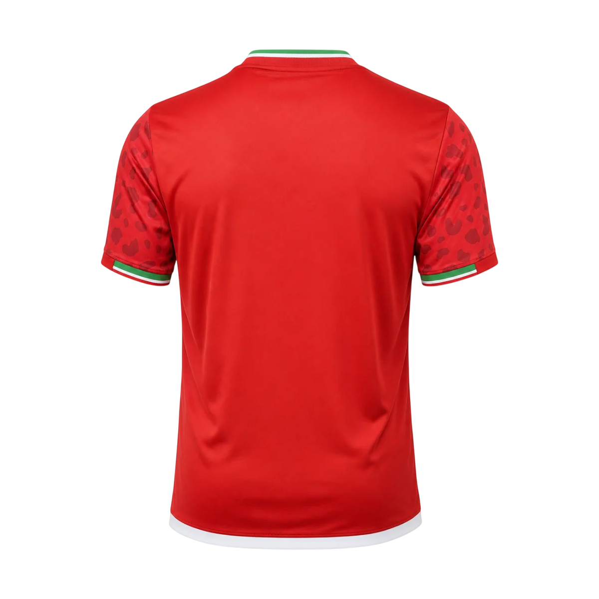 Iran Away 2026/27 Jersey Red Men's